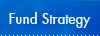 Fund Strategy